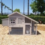 Extreme cape cod chicken coop