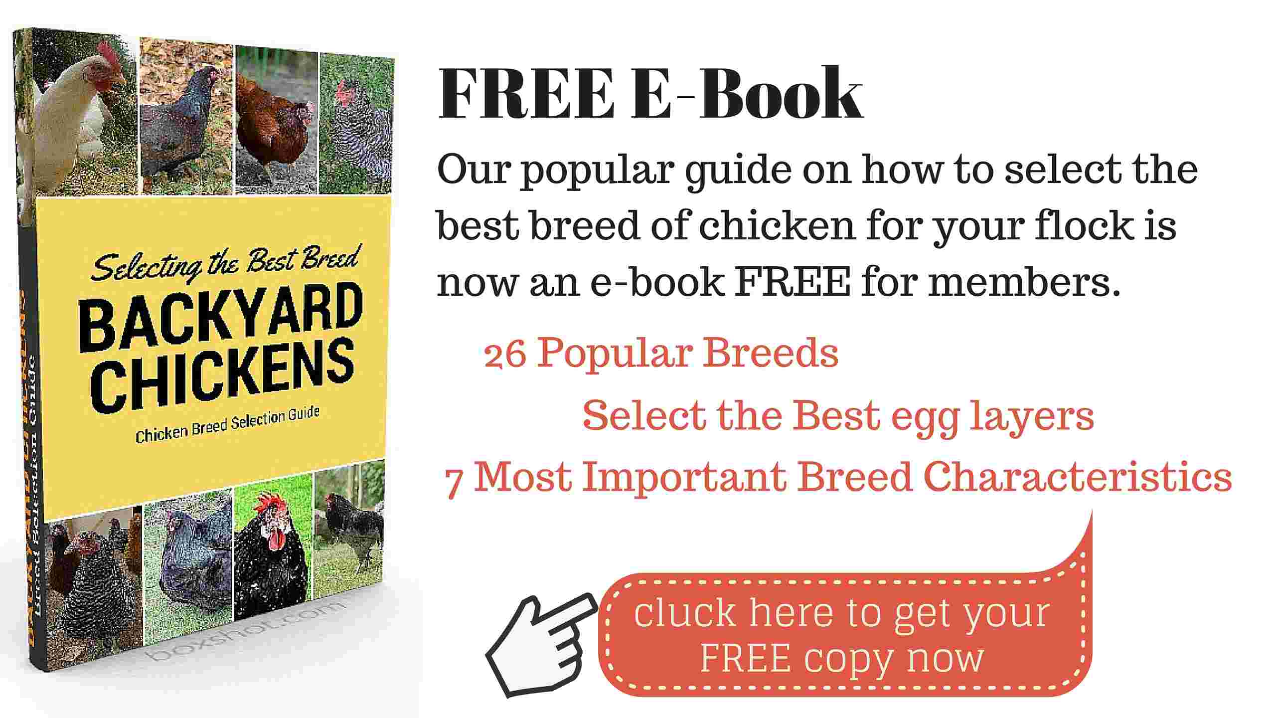 Free Chicken Selection Guide
