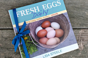 Fresh eggs daily